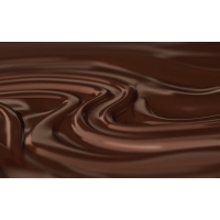 Тонна шоколада вылилась с территории кондитерской фабрики в Германии, покрыв собой улицу и тротуар.